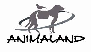 Logo Item